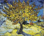 Vincent Van Gogh Mulberry Tree painting